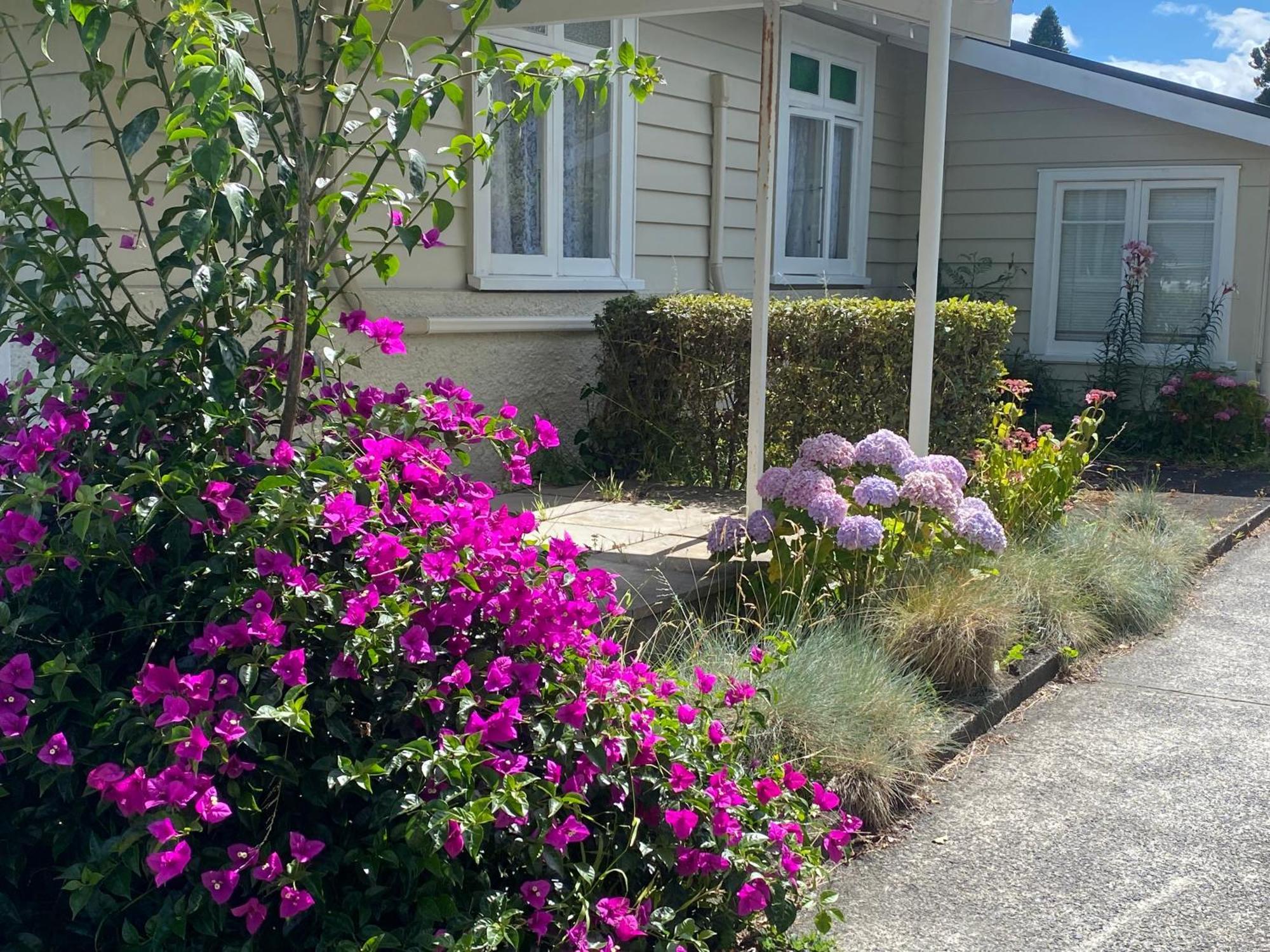Green Garden Home Whangarei Kültér fotó